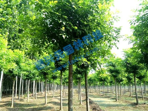 �c���鿴Ԕ����Ϣ���}����Ϟ ��x�Δ���2430