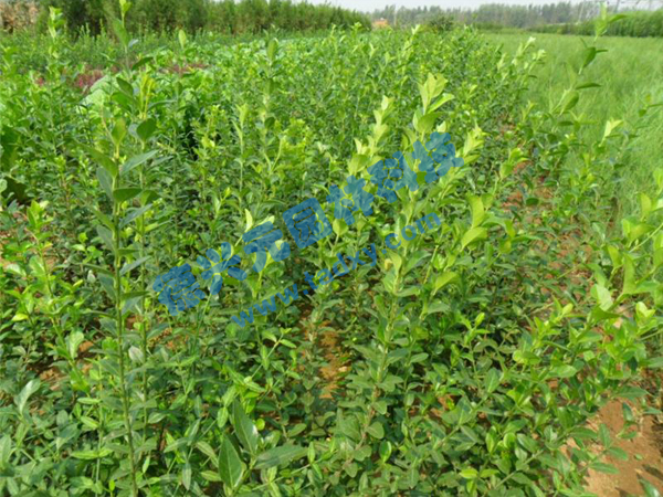 �c���鿴Ԕ����Ϣ���}�����~������ ��x�Δ���2793