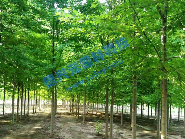 �c(di��n)���鿴Ԕ��(x��)��Ϣ��(bi��o)�}������(gu��)�t�� ��x�Δ�(sh��)��2072